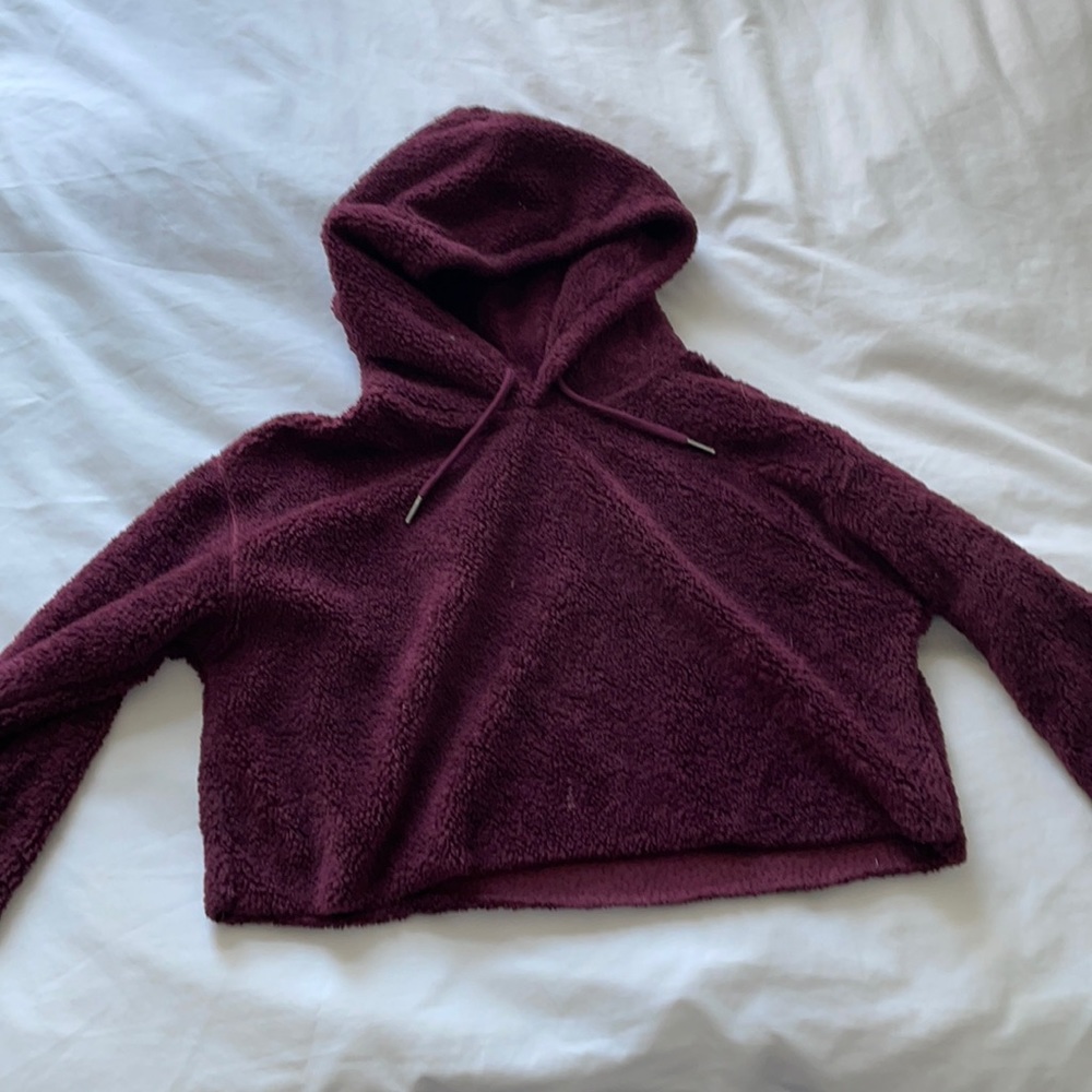 Fuzzy Cropped Urban Outfitters Hoodie